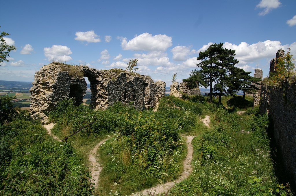 PICT9140.JPG - KONICA MINOLTA DIGITAL CAMERA