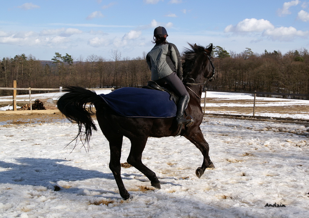 PICT7274_2_s.JPG - KONICA MINOLTA DIGITAL CAMERA