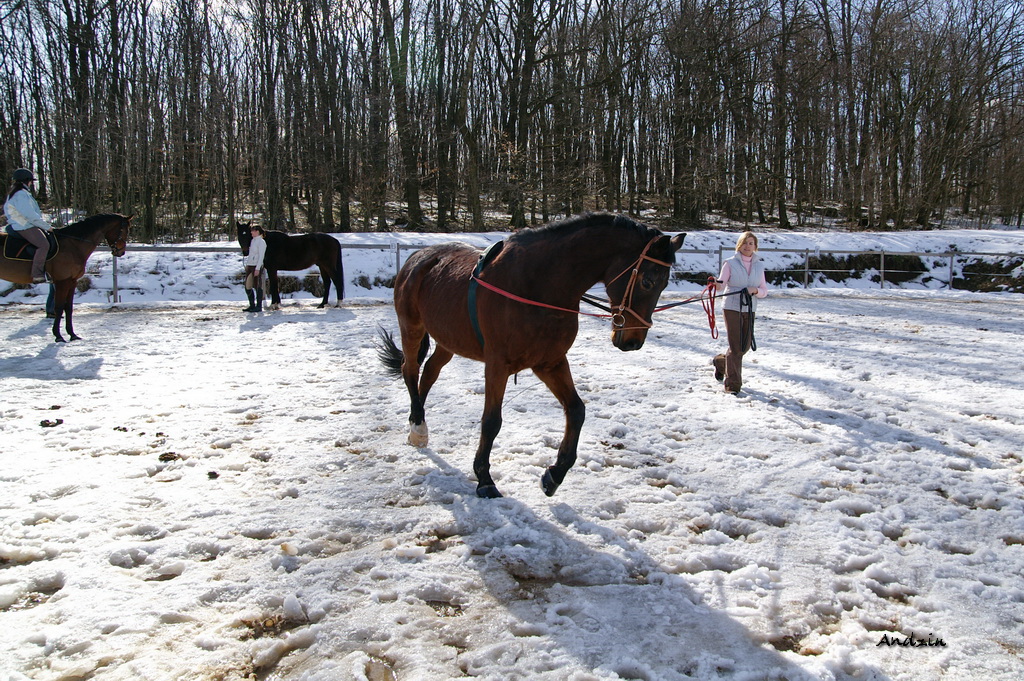 PICT7427_2_s.JPG - KONICA MINOLTA DIGITAL CAMERA