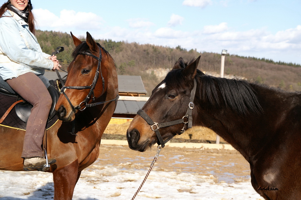 PICT7579_2_s.JPG - KONICA MINOLTA DIGITAL CAMERA