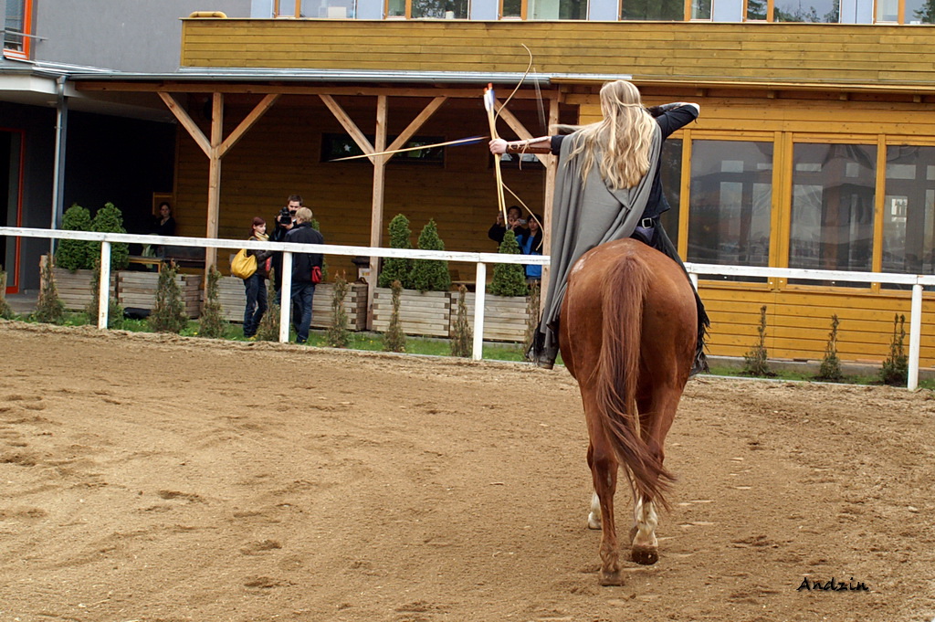 PICT1328_2.JPG - KONICA MINOLTA DIGITAL CAMERA