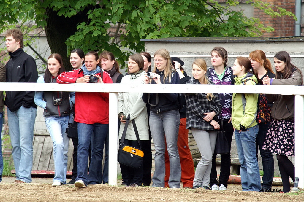 PICT1519_2.JPG - KONICA MINOLTA DIGITAL CAMERA