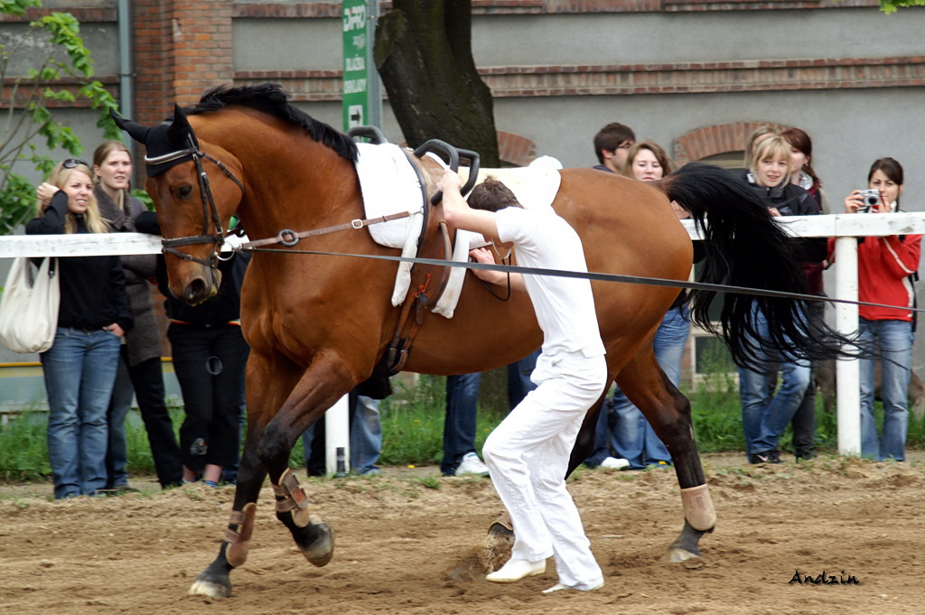 PICT1707_2.JPG - KONICA MINOLTA DIGITAL CAMERA