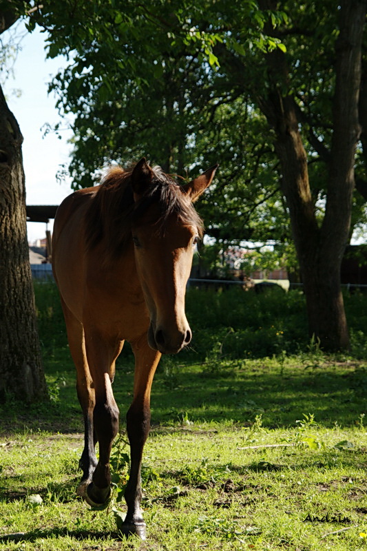 DSC00365_2_resize.JPG - SONY DSC