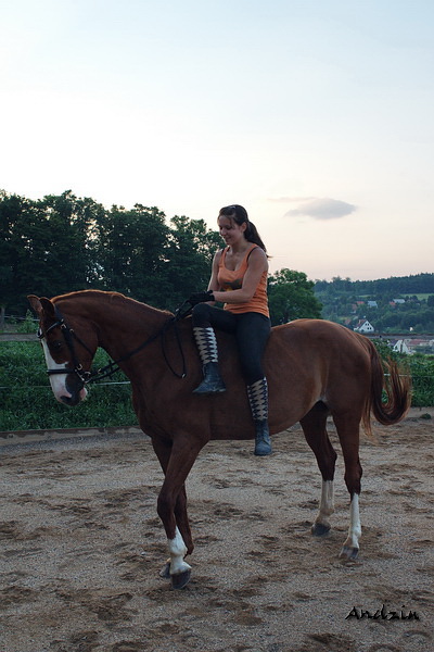 DSC02031_2.JPG - SONY DSC