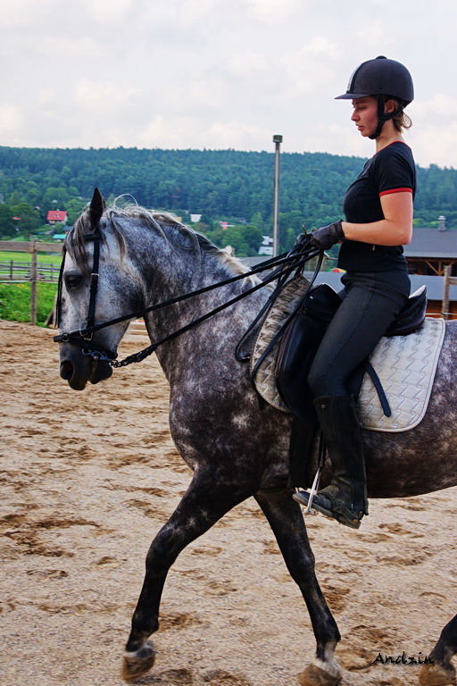 DSC03747.jpg - SONY DSC