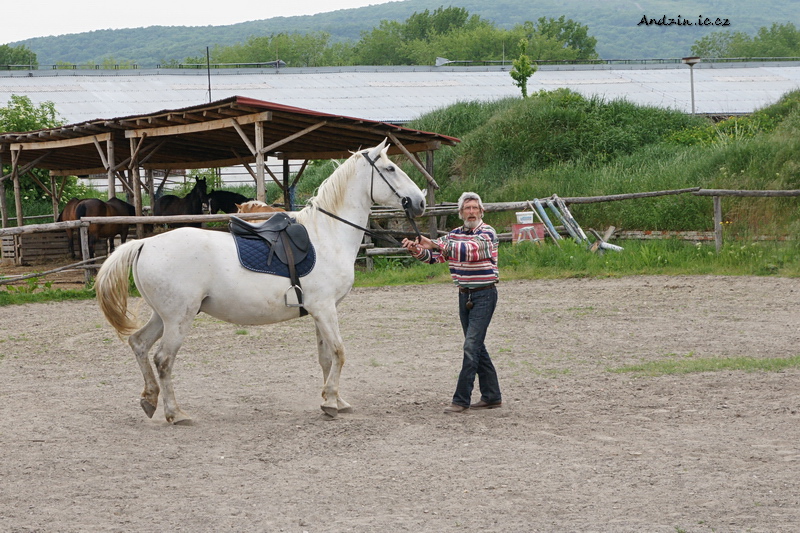 DSC01124.JPG - SONY DSC