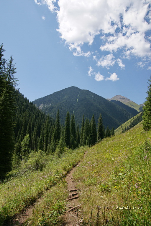 DSC07926.JPG - SONY DSC