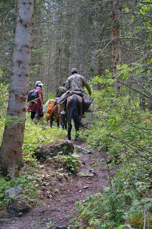 DSC07947.JPG - SONY DSC