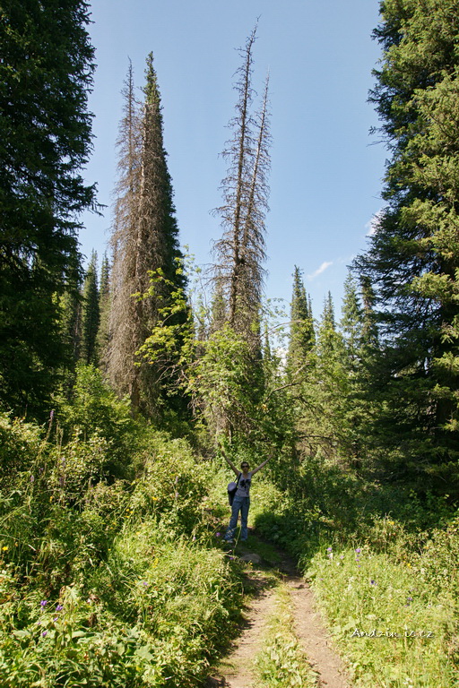 DSC08166.JPG - SONY DSC