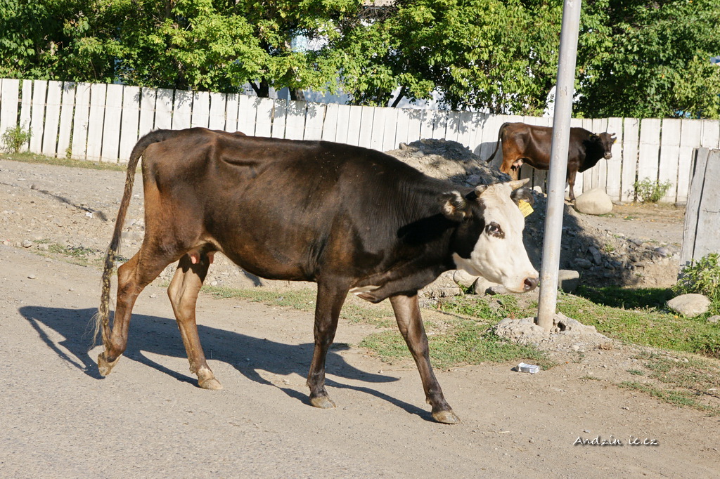 DSC08193.JPG - SONY DSC