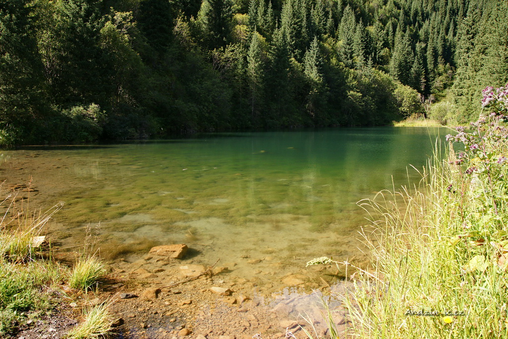 DSC08283.JPG - SONY DSC