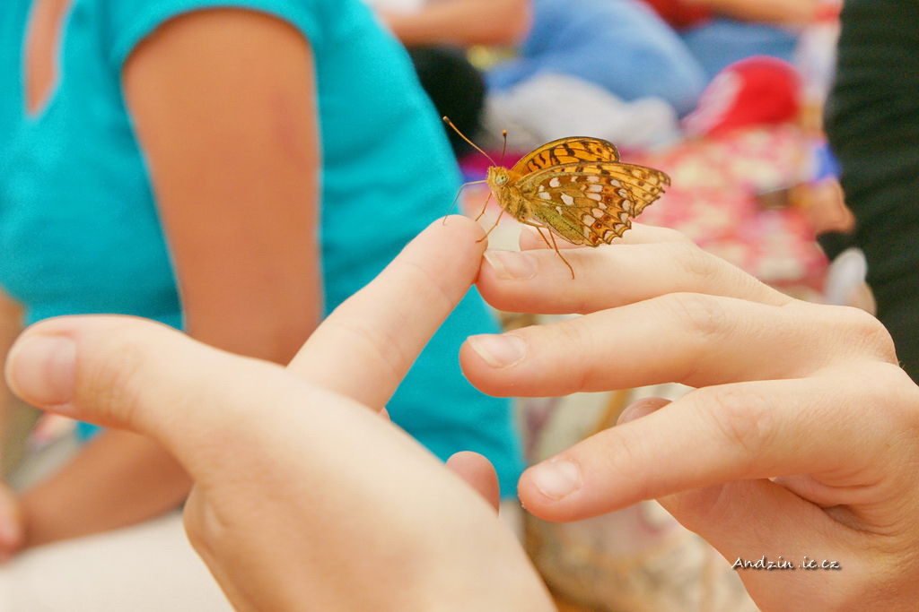 DSC08383.JPG - SONY DSC