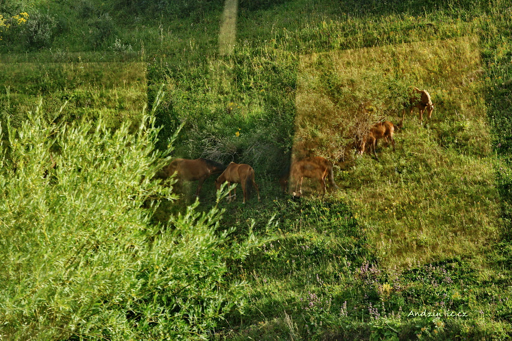 DSC08771.JPG - SONY DSC